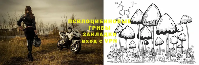 Псилоцибиновые грибы MAGIC MUSHROOMS  blacksprut зеркало  Белоозёрский 